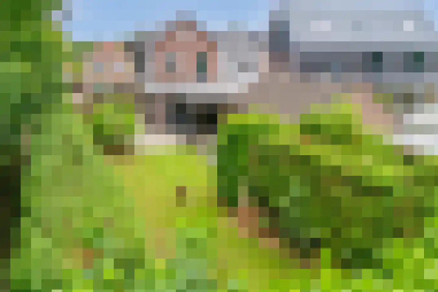 Oude Rossumerstraat 3 Oldenzaal thumbnail 43