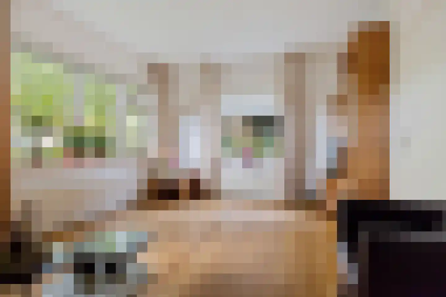 Oude Roswinkelerweg 23 Emmen thumbnail 10