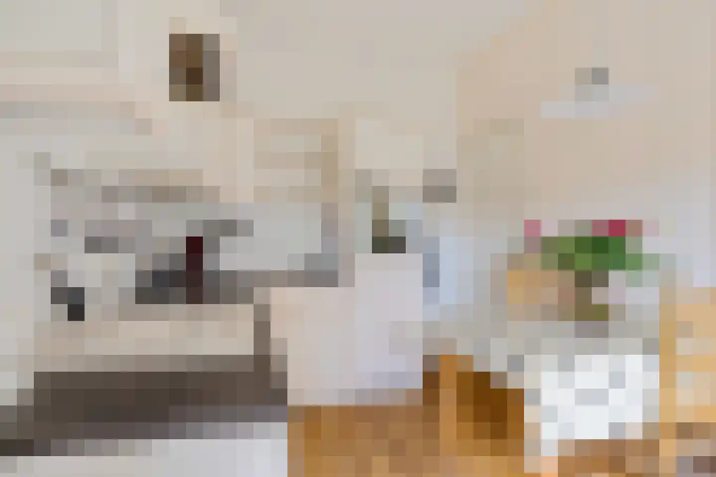 Oude Roswinkelerweg 23 Emmen thumbnail 12