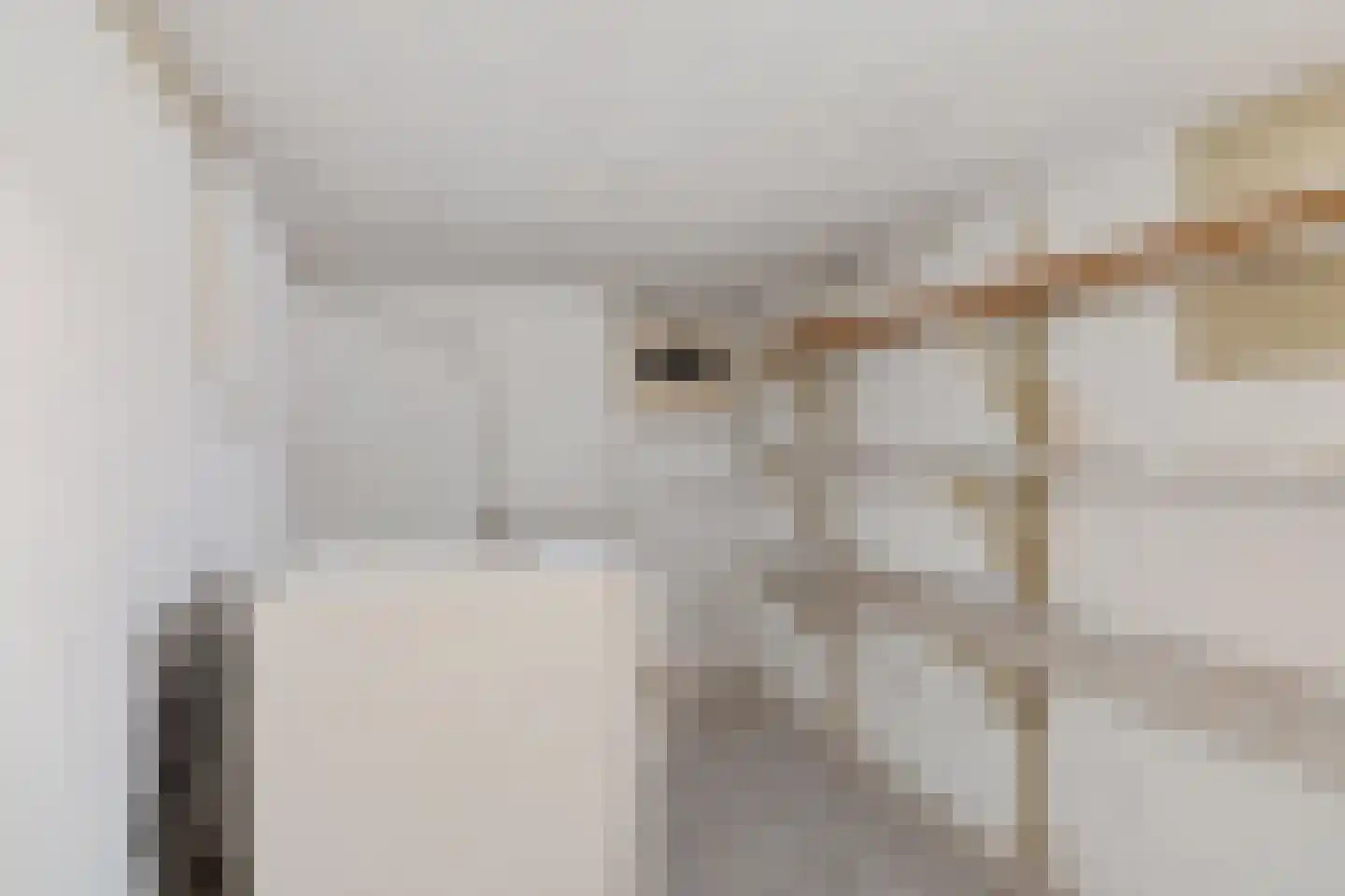Oude Roswinkelerweg 23 Emmen thumbnail 15
