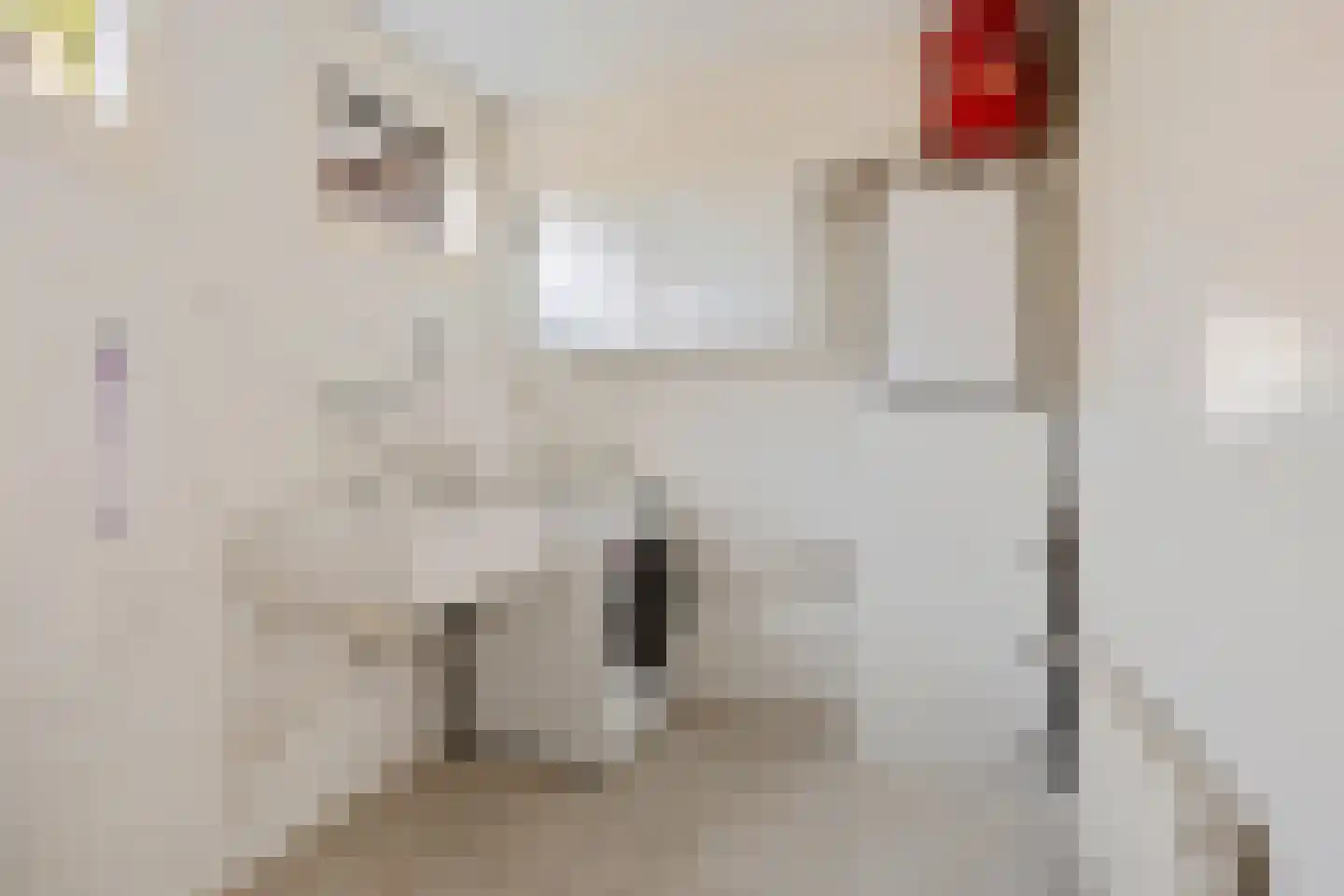 Oude Roswinkelerweg 23 Emmen thumbnail 17