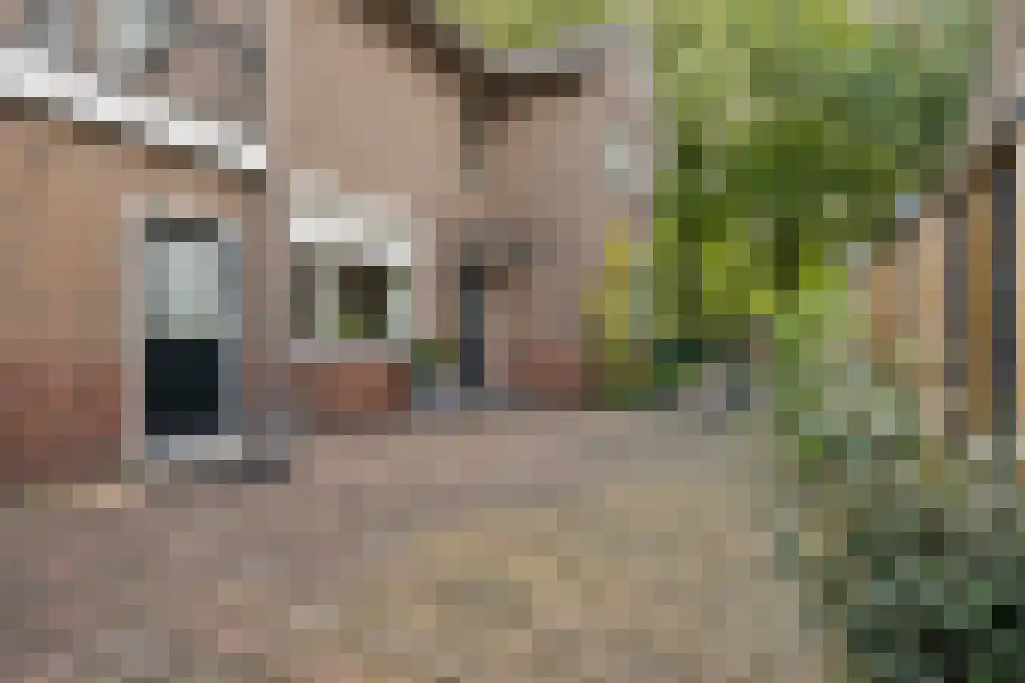 Oude Roswinkelerweg 23 Emmen thumbnail 35