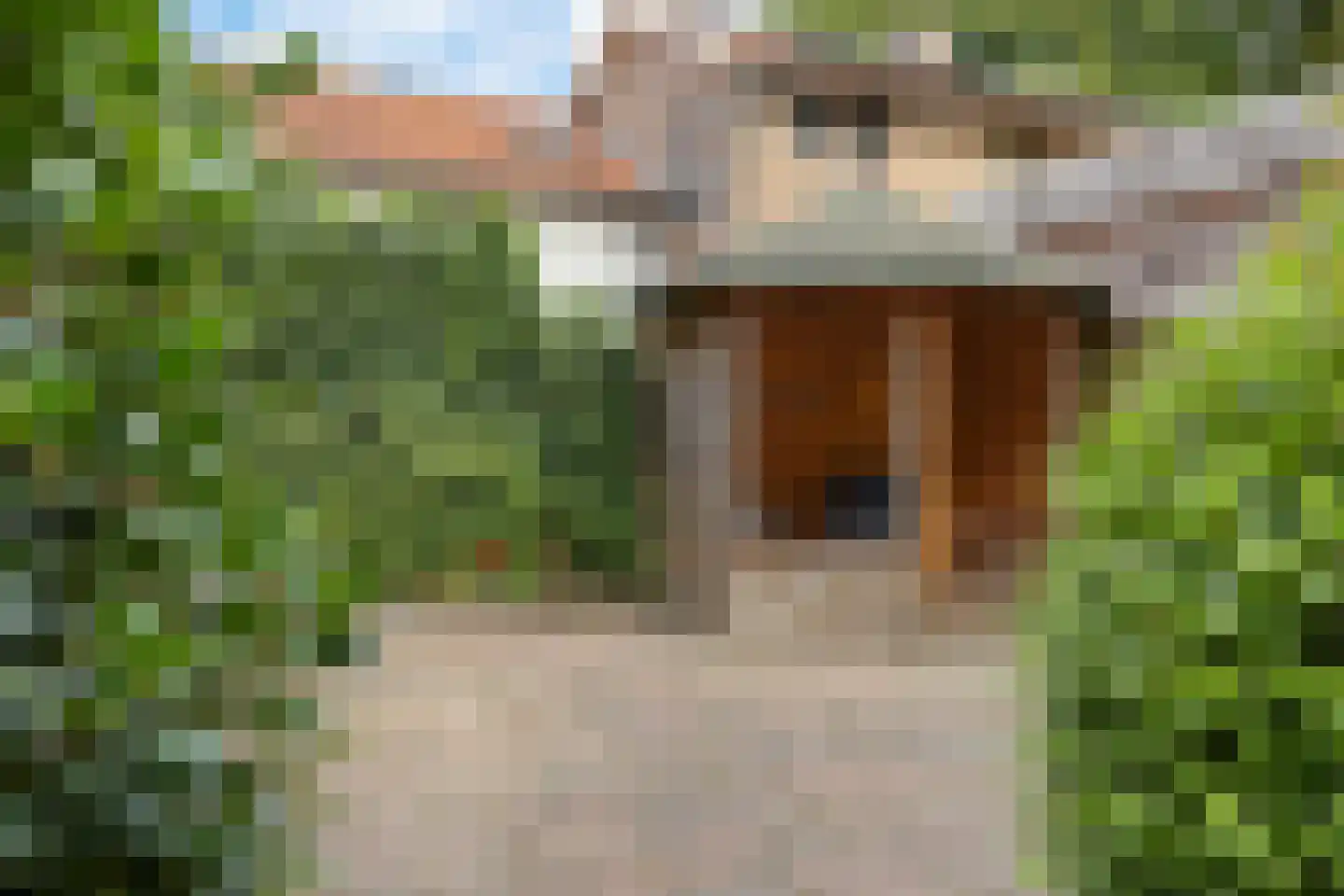 Oude Roswinkelerweg 23 Emmen thumbnail 37