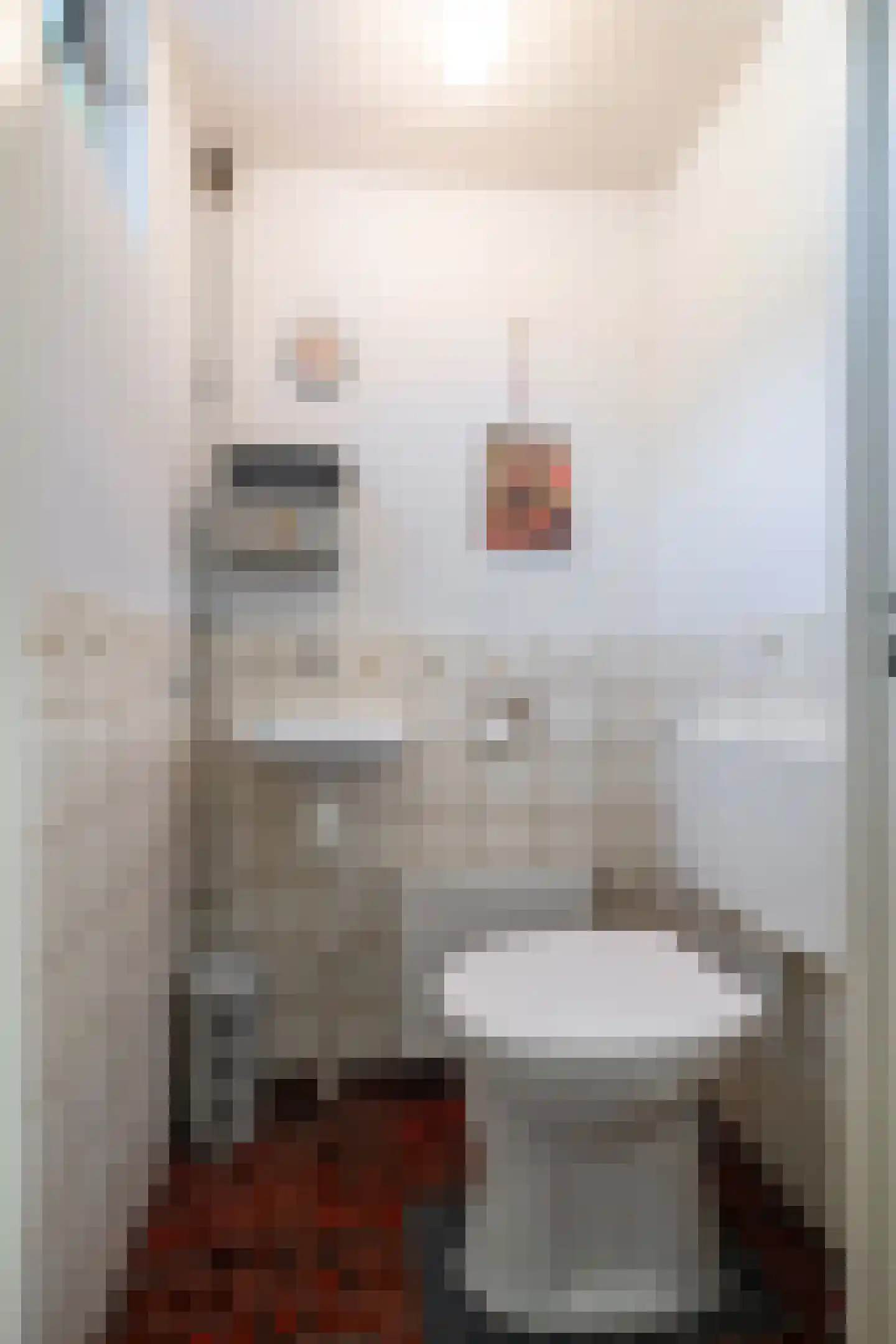 Oude Roswinkelerweg 66 Emmen thumbnail 17