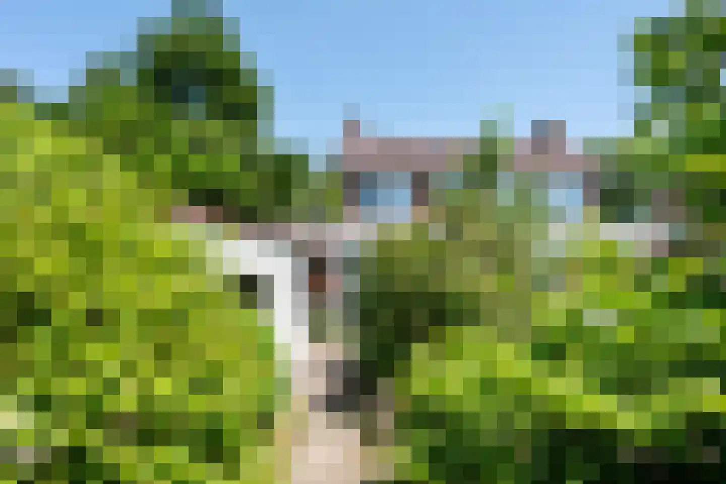 Oude Roswinkelerweg 66 Emmen thumbnail 27