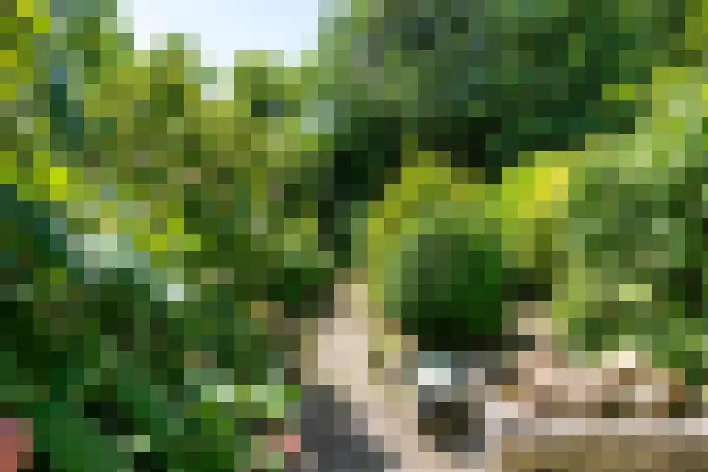 Oude Roswinkelerweg 66 Emmen thumbnail 28