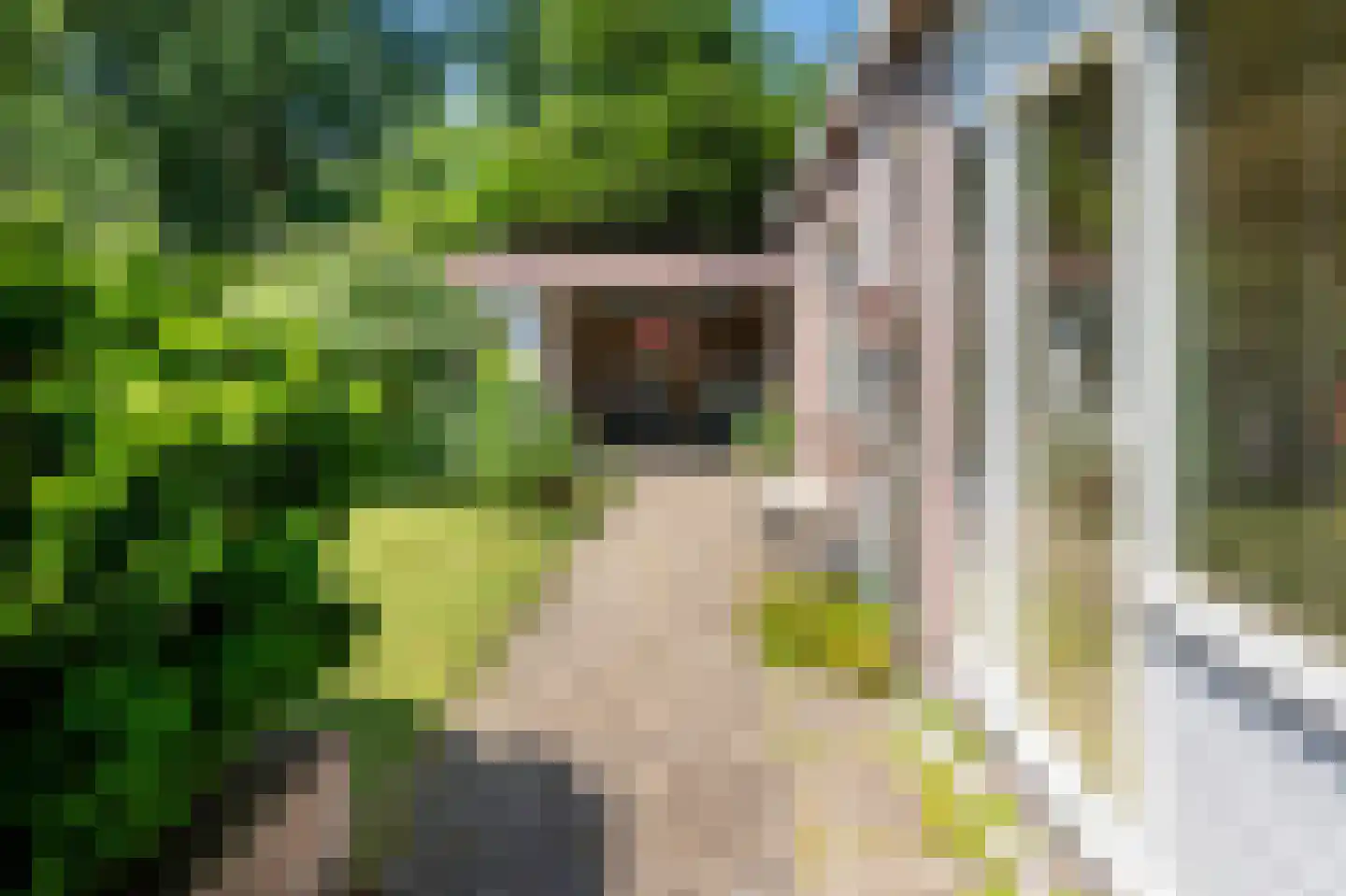 Oude Roswinkelerweg 66 Emmen thumbnail 29
