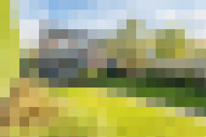 Oude Rozengaardseweg 113 Doetinchem thumbnail 50