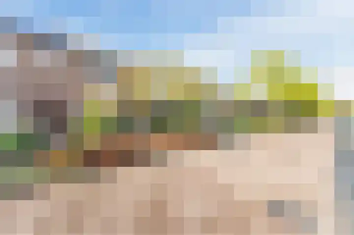 Oude Rozengaardseweg 113 Doetinchem thumbnail 56