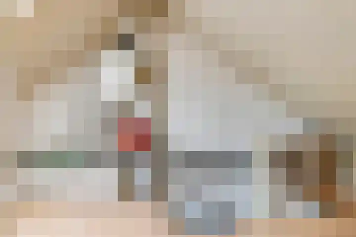 Oude Rozengaardseweg 197 Doetinchem thumbnail 28