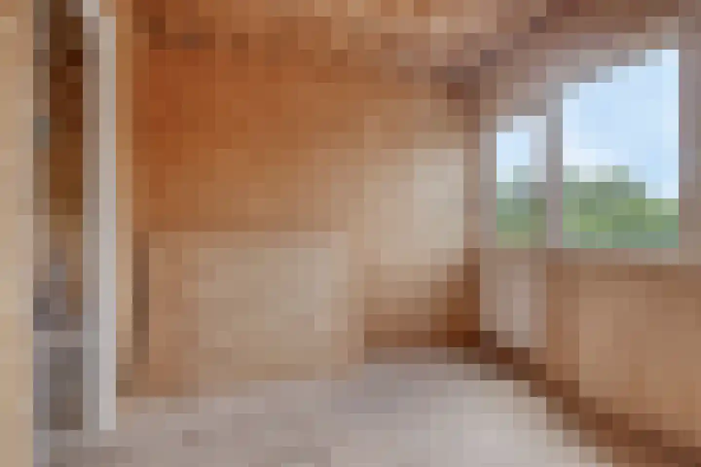 Oude Ruurloseweg 2 Barchem thumbnail 21