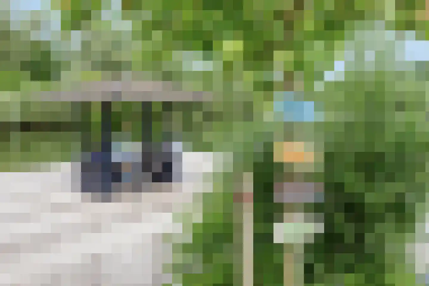 Oude Ruurloseweg 2 Barchem thumbnail 31