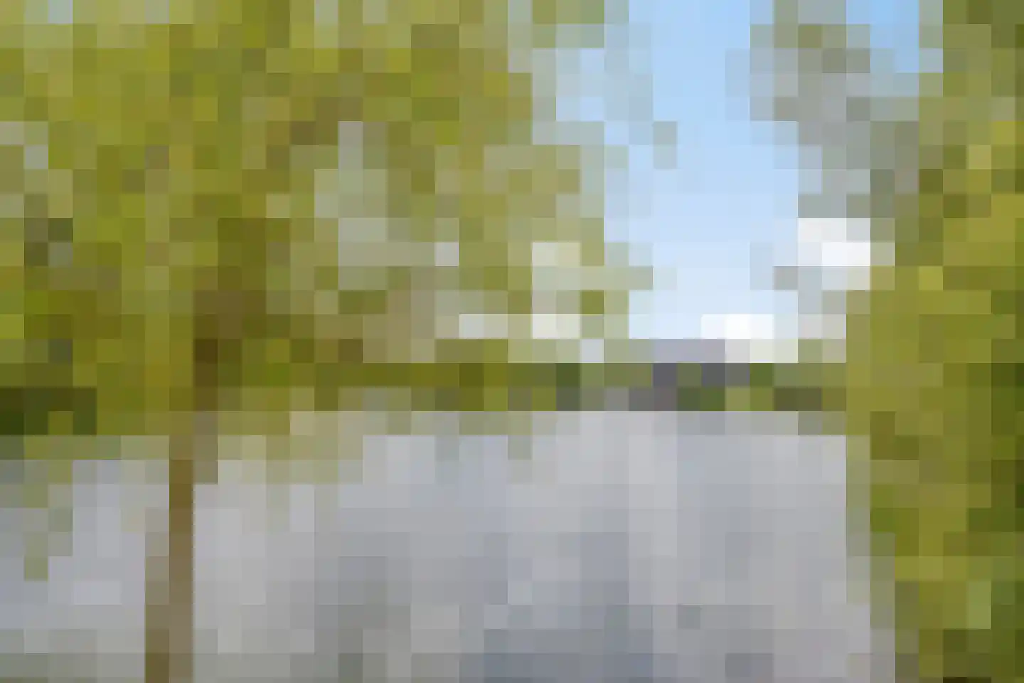 Oude Ruurloseweg 2 Barchem thumbnail 34