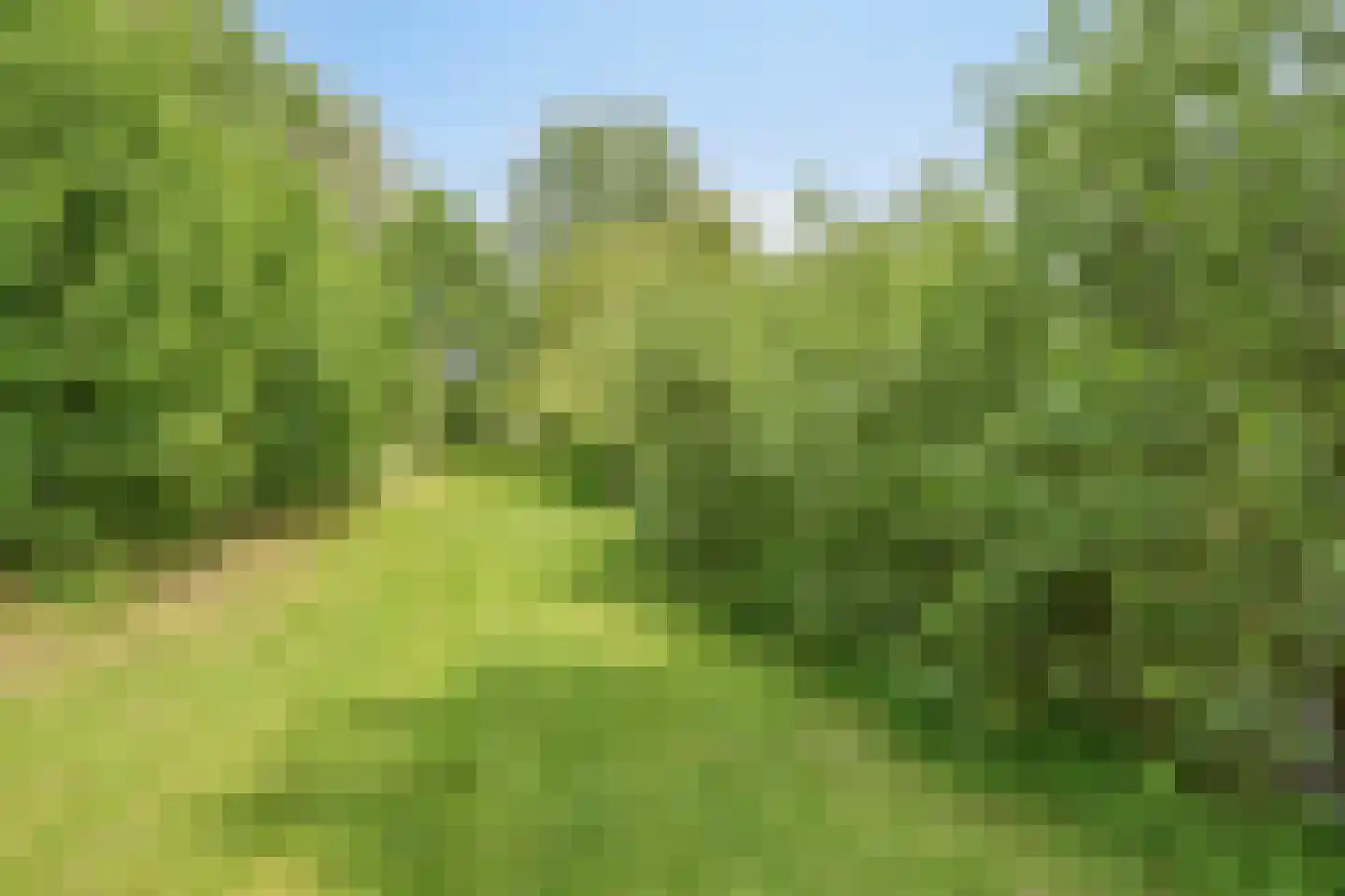 Oude Ruurloseweg 2 Barchem thumbnail 35