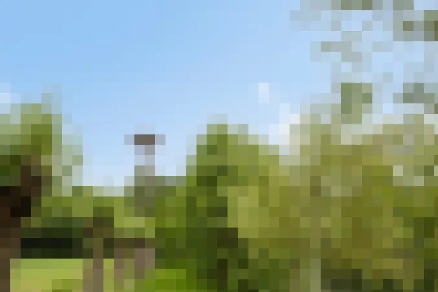 Oude Ruurloseweg 2 Barchem thumbnail 37