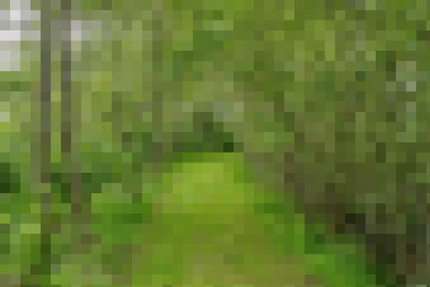 Oude Ruurloseweg 2 Barchem thumbnail 38