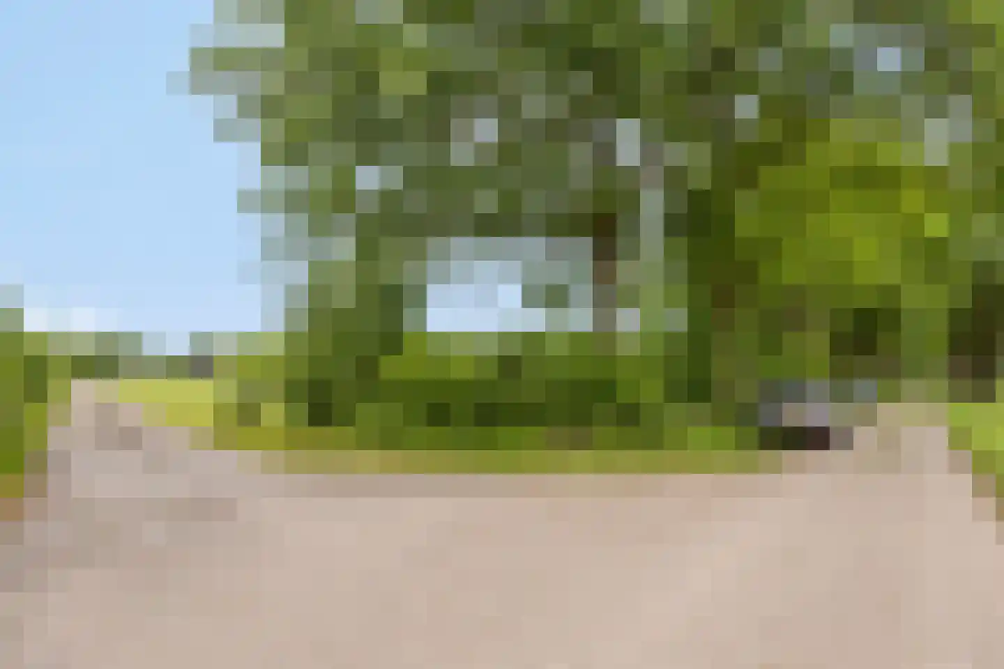 Oude Ruurloseweg 2 Barchem thumbnail 39