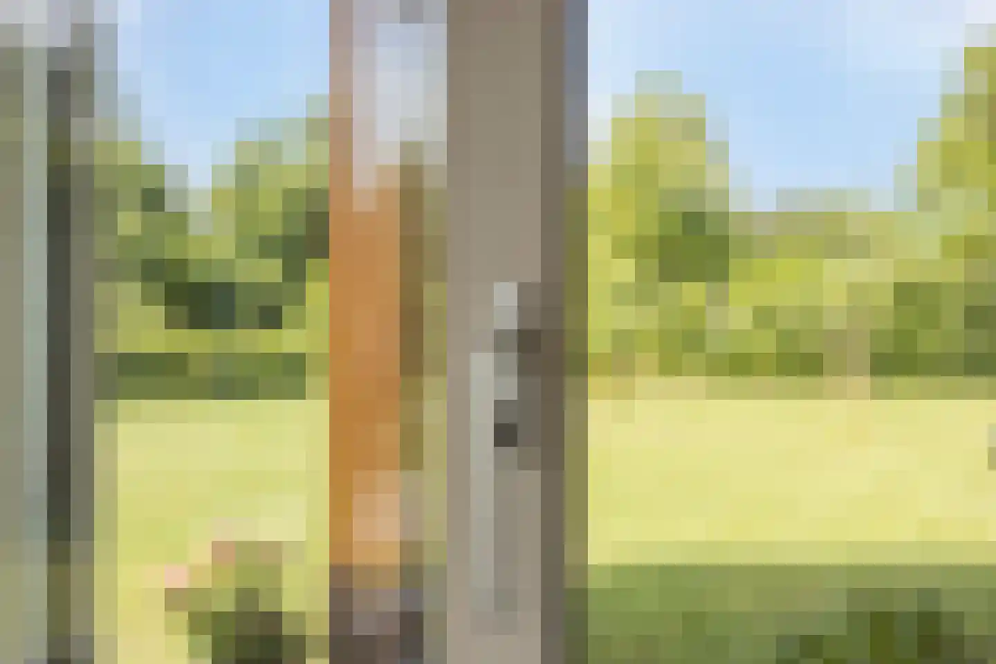 Oude Ruurloseweg 2 Barchem thumbnail 9