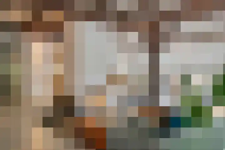 Oude Schaarsestraat 1 Bergharen thumbnail 11