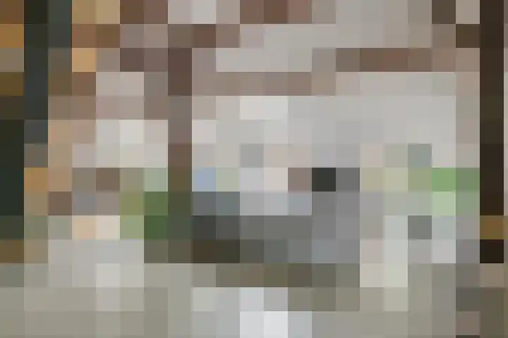 Oude Schaarsestraat 1 Bergharen thumbnail 12