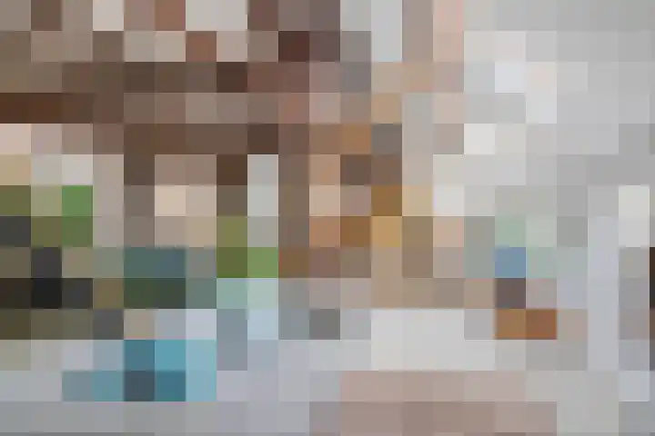 Oude Schaarsestraat 1 Bergharen thumbnail 13