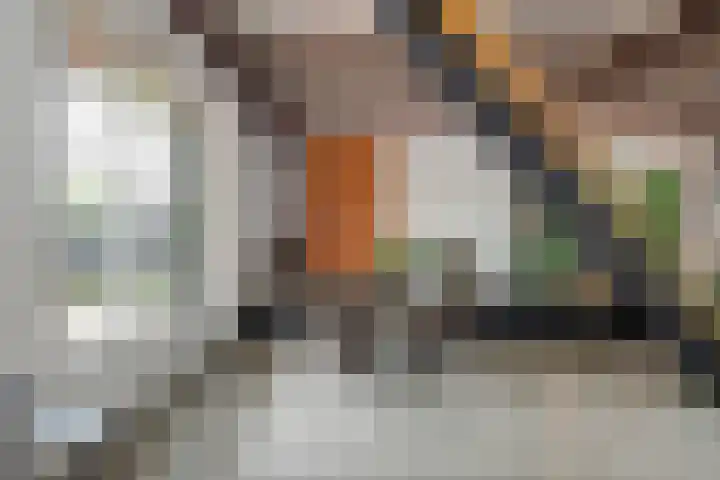 Oude Schaarsestraat 1 Bergharen thumbnail 14