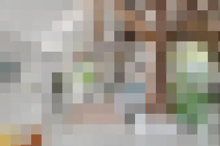 Oude Schaarsestraat 1 Bergharen thumbnail 15