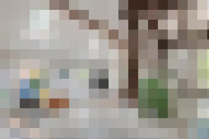Oude Schaarsestraat 1 Bergharen thumbnail 16