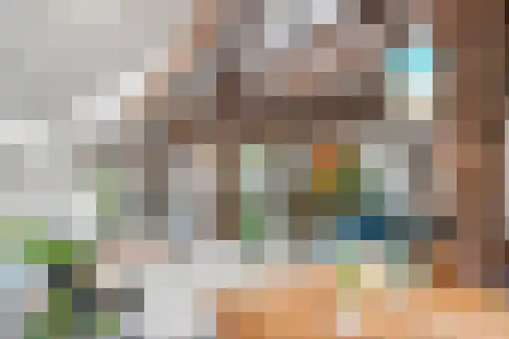 Oude Schaarsestraat 1 Bergharen thumbnail 17