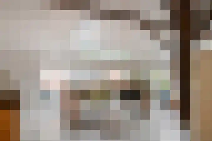 Oude Schaarsestraat 1 Bergharen thumbnail 18