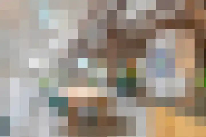 Oude Schaarsestraat 1 Bergharen thumbnail 19