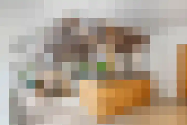 Oude Schaarsestraat 1 Bergharen thumbnail 20