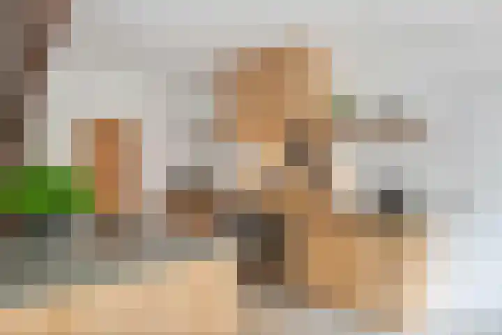 Oude Schaarsestraat 1 Bergharen thumbnail 21