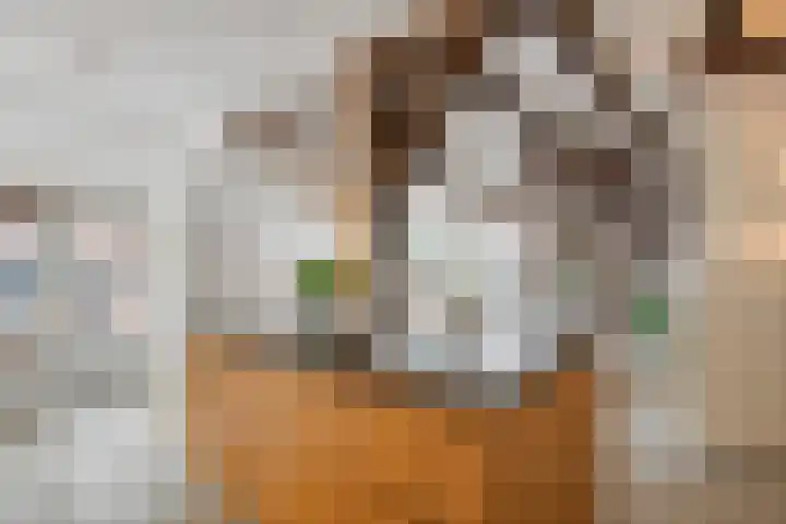 Oude Schaarsestraat 1 Bergharen thumbnail 23