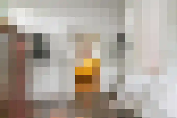 Oude Schaarsestraat 1 Bergharen thumbnail 25