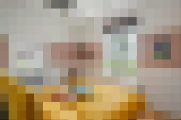 Oude Schaarsestraat 1 Bergharen thumbnail 26