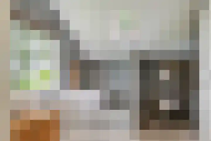 Oude Schaarsestraat 1 Bergharen thumbnail 29