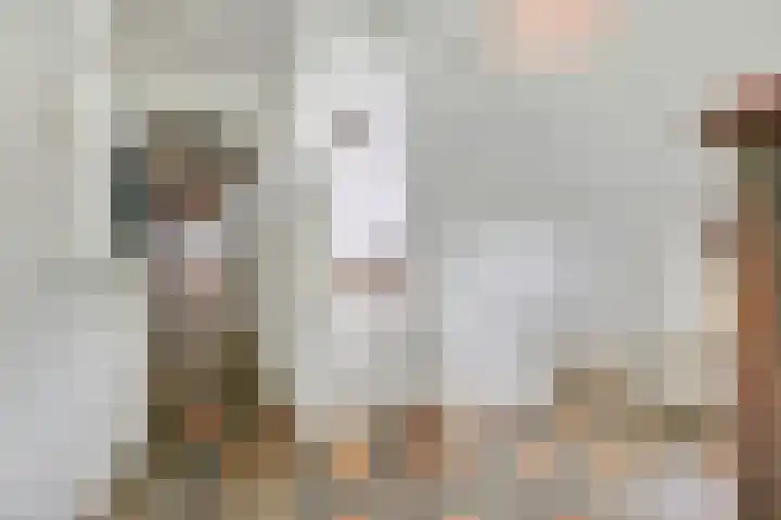 Oude Schaarsestraat 1 Bergharen thumbnail 31