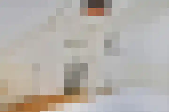Oude Schaarsestraat 1 Bergharen thumbnail 33
