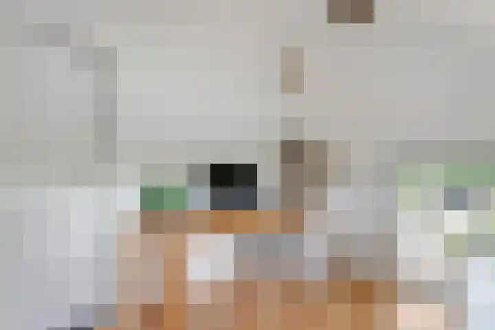 Oude Schaarsestraat 1 Bergharen thumbnail 35