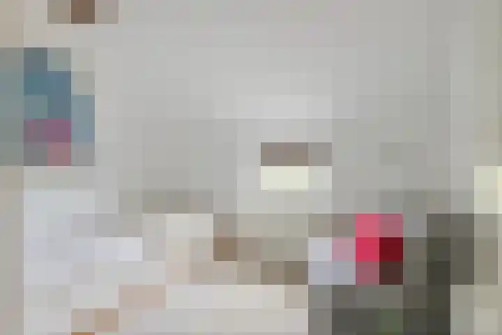 Oude Schaarsestraat 1 Bergharen thumbnail 36