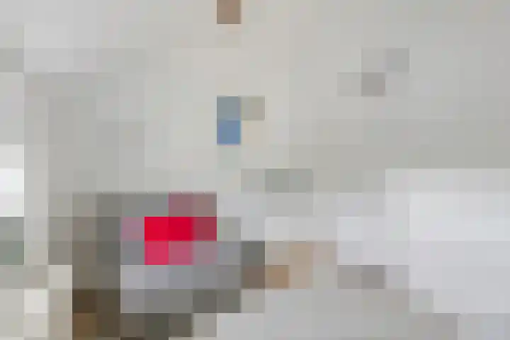 Oude Schaarsestraat 1 Bergharen thumbnail 37