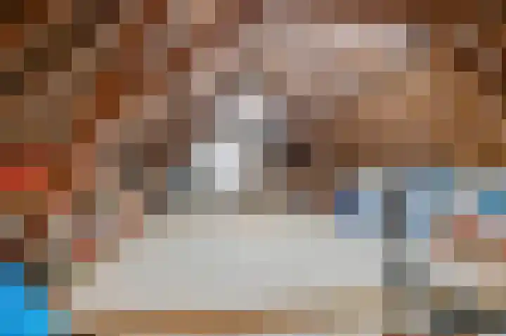 Oude Schaarsestraat 1 Bergharen thumbnail 43
