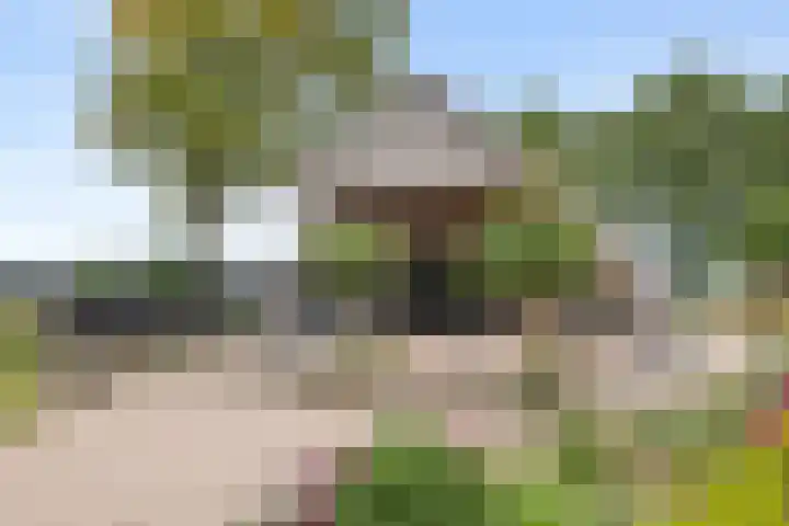 Oude Schaarsestraat 1 Bergharen thumbnail 44