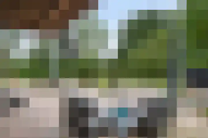 Oude Schaarsestraat 1 Bergharen thumbnail 45