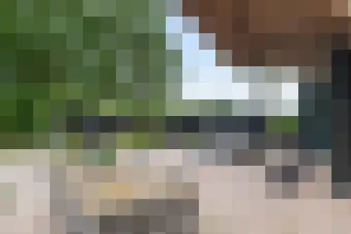 Oude Schaarsestraat 1 Bergharen thumbnail 46