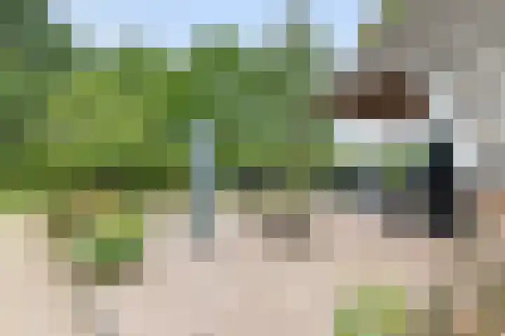 Oude Schaarsestraat 1 Bergharen thumbnail 47