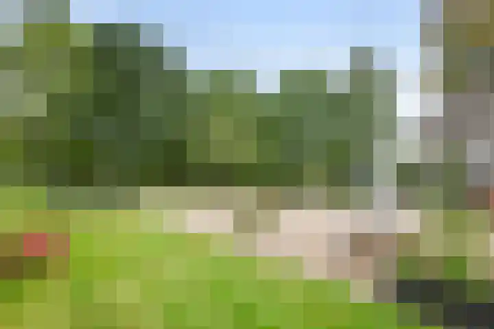 Oude Schaarsestraat 1 Bergharen thumbnail 48