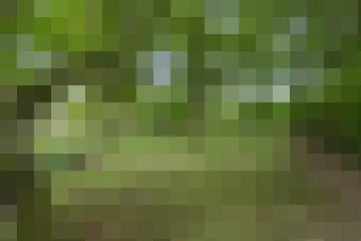 Oude Schaarsestraat 1 Bergharen thumbnail 49