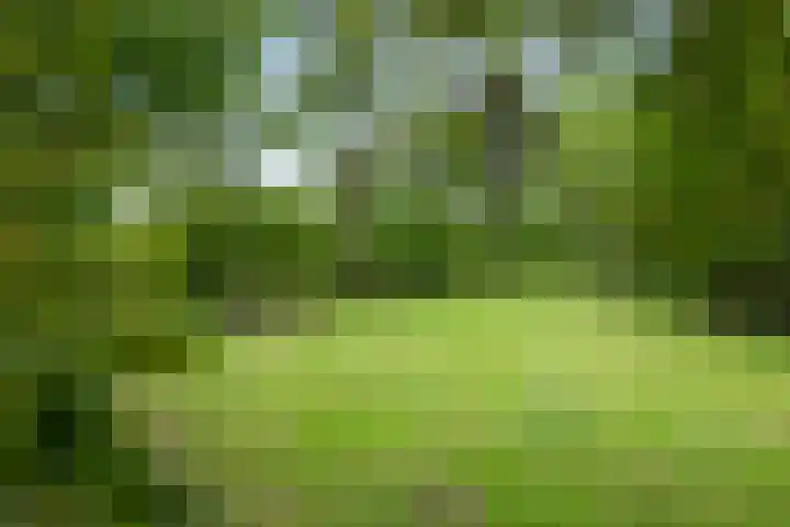 Oude Schaarsestraat 1 Bergharen thumbnail 51